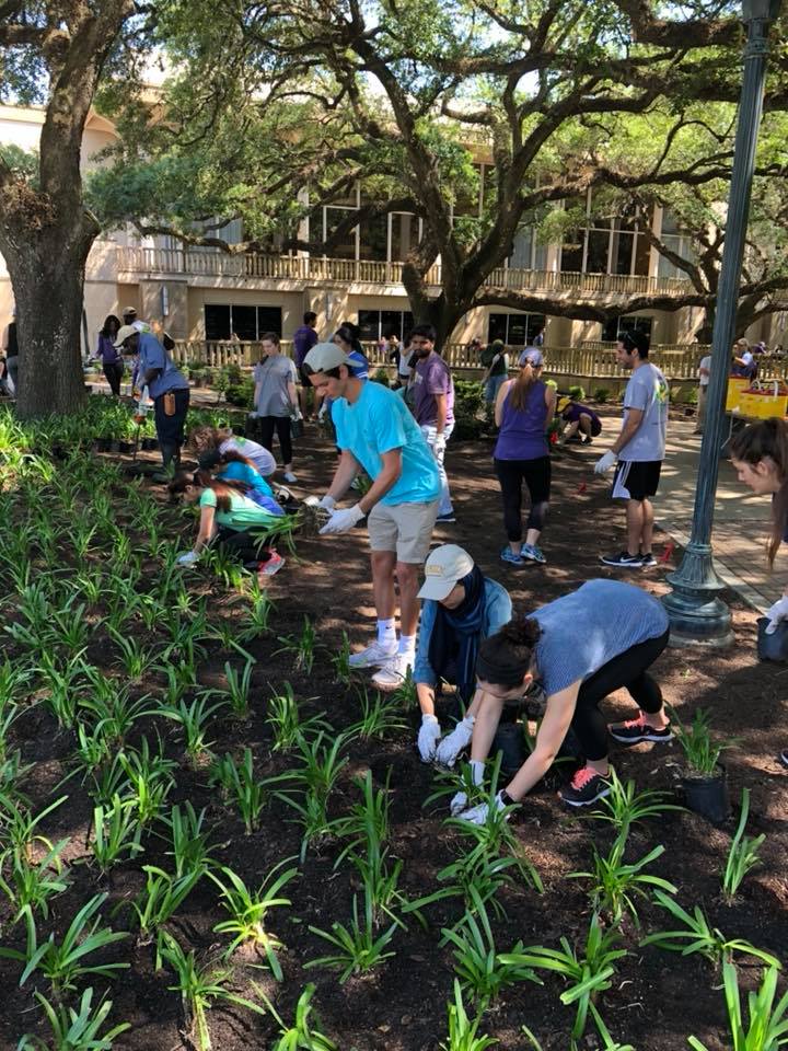 students working on landscaping in front of union