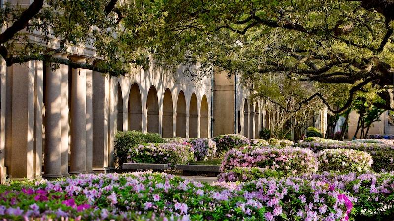 lsu quadrangle