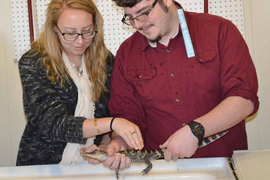 Students holding alligator