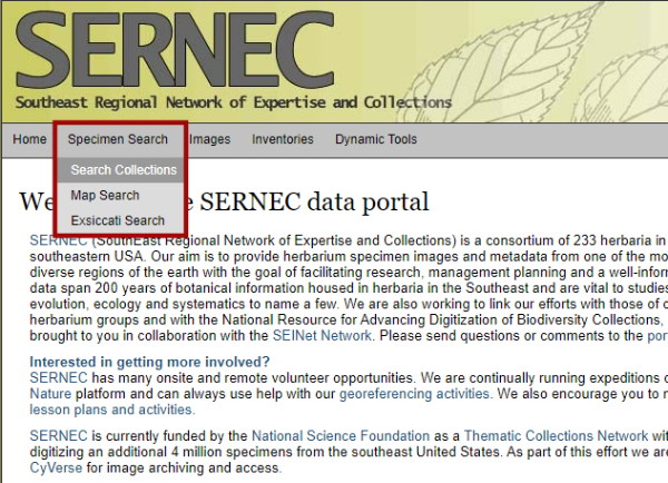 Search for Specimen Search > Search Collection in the landing page of the database website.