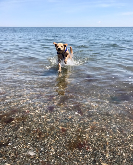 Levon at the beach